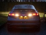 lights3.jpg
